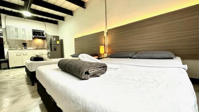 Appartement Jardin Loft